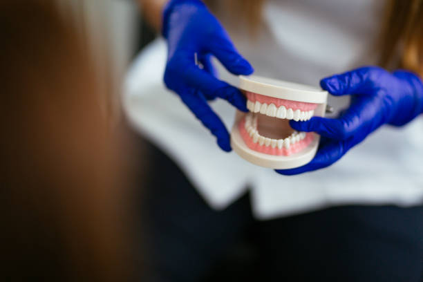 Best Dental Inlays and Onlays  in Roanoke, IN